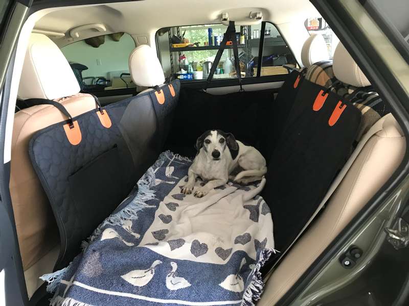 Back Seat Extender for Dogs